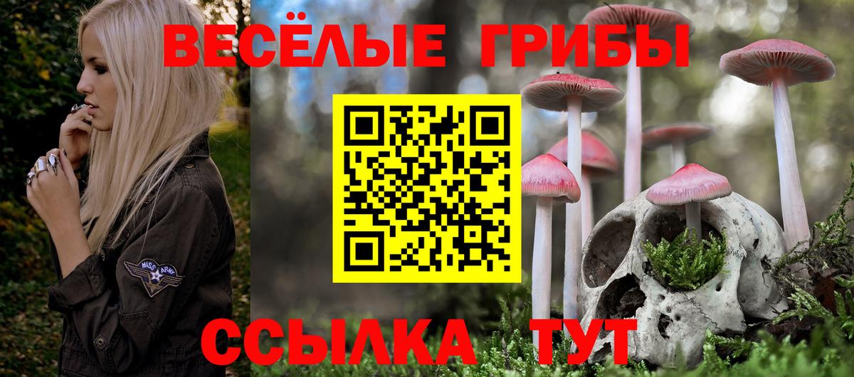 Галлюциногенные грибы мицелий  Вход с VPN  Алексеевка  Псилоцибиновые грибы Magic Shrooms 