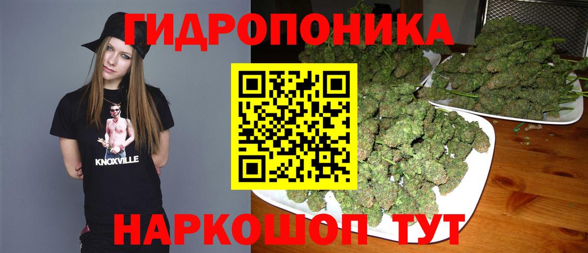 Марихуана ГИДРОПОН  Вход с VPN  Бошки марихуана семена  Конопля марихуана  Алексеевка  МАРИХУАНА Ganja 
